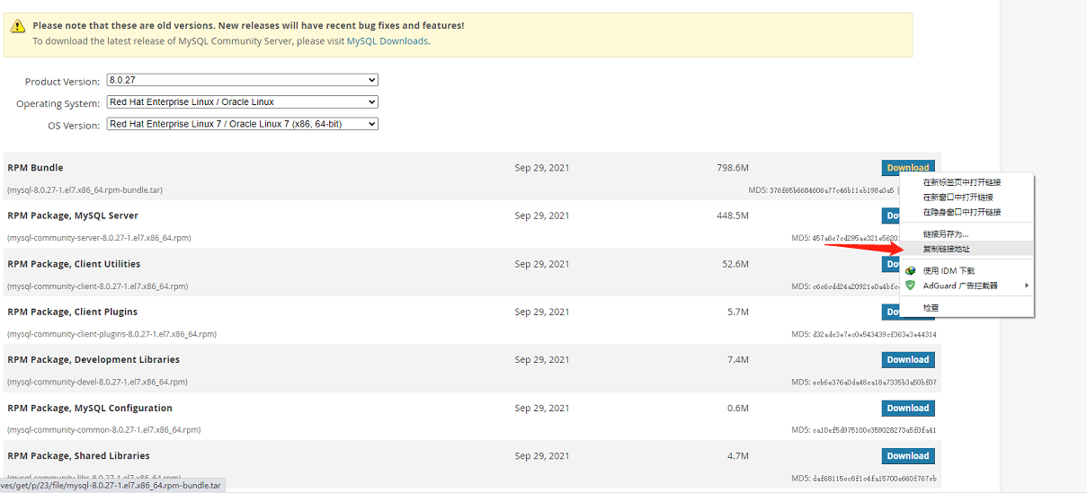 image-20220413110056904